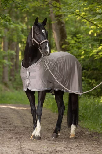 Covalliero 2025 S/S kötőfék - bézs, cob