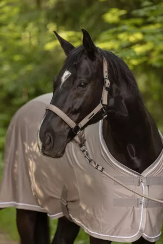 Covalliero 2025 S/S kötőfék - bézs, cob