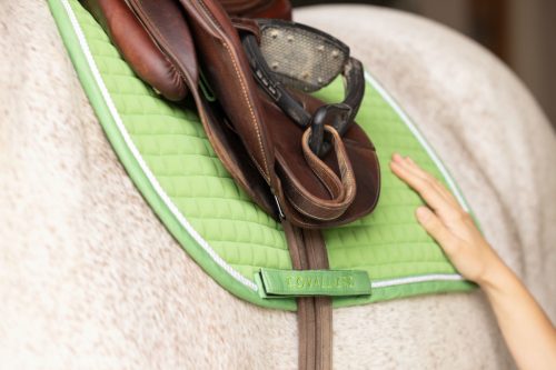 Covalliero 2025 S/S nyeregalátét - zöld, VS