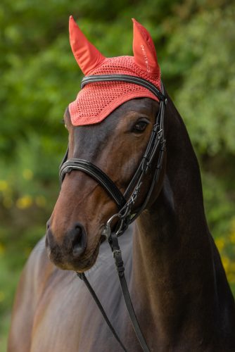 Covalliero 2025 S/S fülvédő - korall, pony