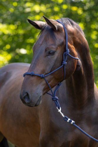 Csomózott kötőfék - sötétkék, pony