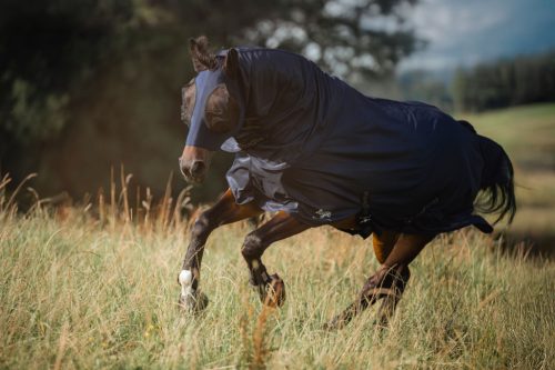 RugBe SuperFly lótakaró - nyakrésszel, kék, 125 cm