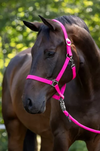 Hippo nylon kötőfék - rózsaszín, shetty