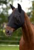 FinoStretch légymaszk lovaknak cipzárral - fekete, pony