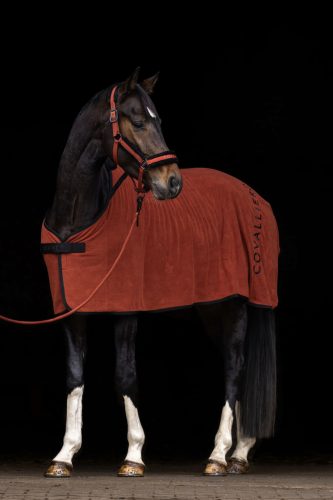 Covalliero 2025 AW lótakaró - rozsdavörös, 145 cm