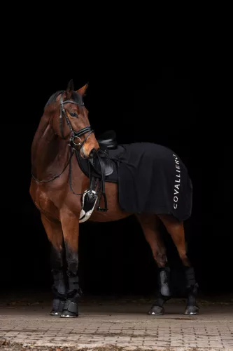 Covalliero 2025 AW vesevédő takaró - fekete, 135 cm