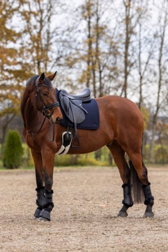 Covalliero 2025 AW ínvédő - fekete, cob, M