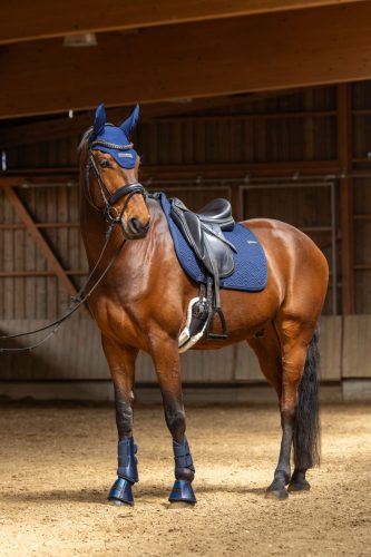 Covalliero 2026 SS nyeregalátét - mélykék, VS