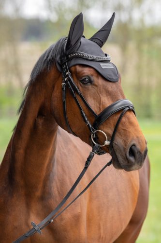 Covalliero 2026 SS fülvédő - fekete, póni