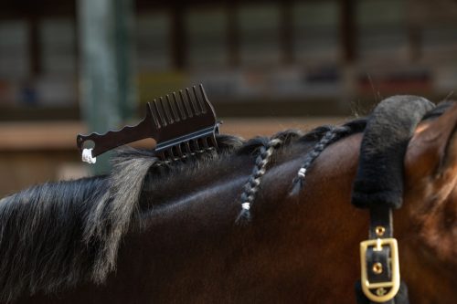 Competition sörénykefe - 3 az 1-ben