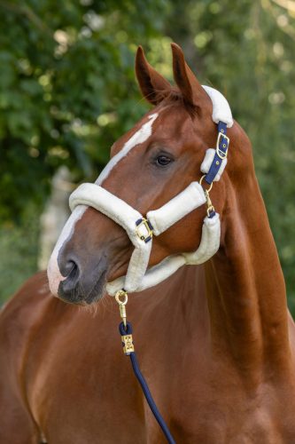 SuperSoft 2.0 kötőfék - kék, cob