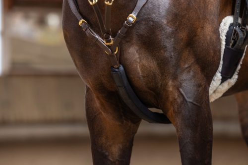 Martingálvédő - fekete, 47 cm