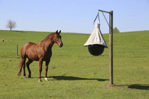 TaonX Eco bögölycsapda