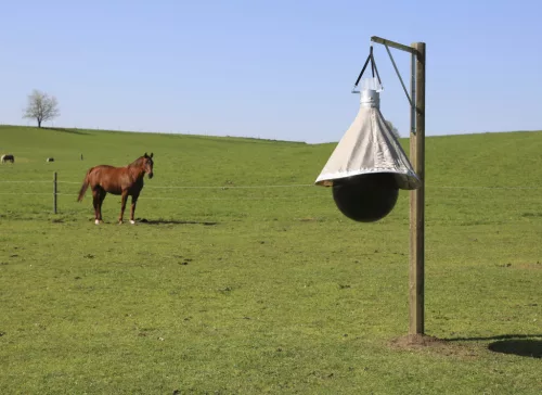 TaonX Eco bögölycsapda