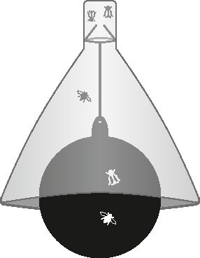 TaonX bögölycsapda
