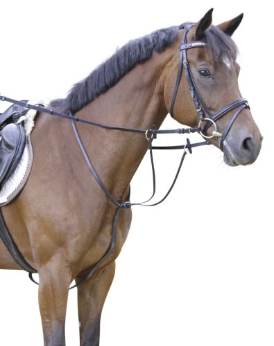 Covalliero bőr martingál - fekete, póni