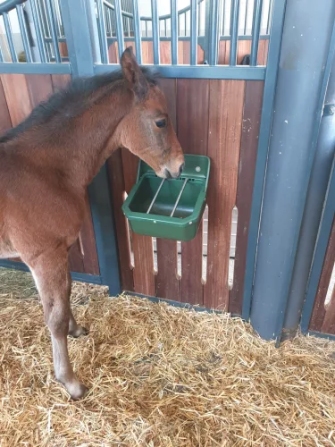 Csikó etető - tartós műanyagból, fém szűkítőpálcákkal, 9 literes