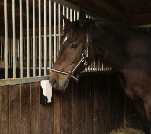 Préselt Himalája nyalósó - 4x2 kg