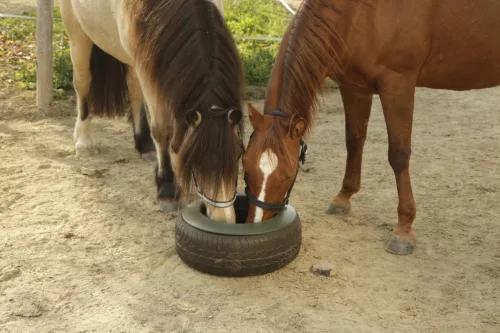 Etető, gumiabroncsba illeszthető, 15lit.