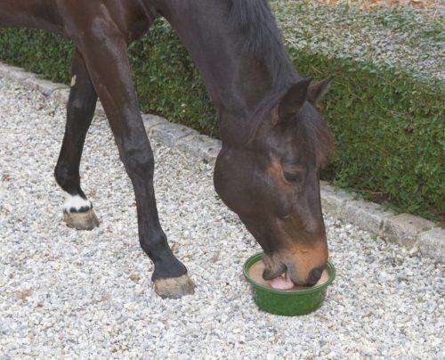 Delizia Bronchial gyógynövényes és vitaminos nyalótál - 6 kg