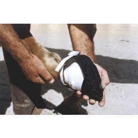 Shoof patacipő - 2-es méret, átmérő: 130 mm-ig