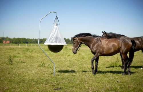 Tartóállvány TaonX-hez ill. szénazsákhoz