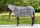 Covalliero RugBe Zebra légytakaró - 125 cm