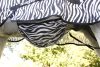 Covalliero RugBe Zebra légytakaró - 125 cm