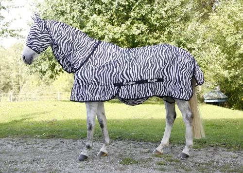 Covalliero RugBe Zebra légytakaró - 135 cm