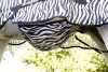 Covalliero RugBe Zebra légytakaró -  145 cm