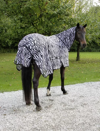 Covalliero RugBe Zebra légytakaró -  145 cm