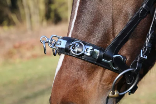 Exclusive bőr kapicán, full