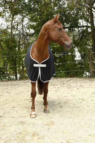 Covalliero RugBe Economic polár lótakaró - fekete, 135 cm