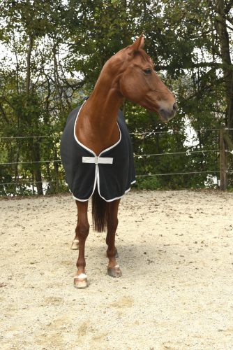 Covalliero RugBe Economic polár lótakaró - fekete, 145 cm