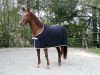 Covalliero RugBe Economic polár lótakaró - fekete, 155 cm