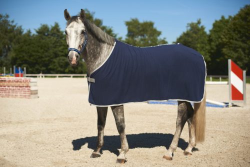 Covalliero RugBe Economic polár lótakaró - kék, 125 cm