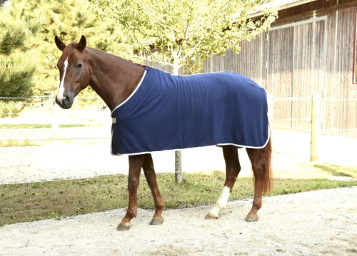 Covalliero RugBe Economic polár lótakaró - kék, 145 cm