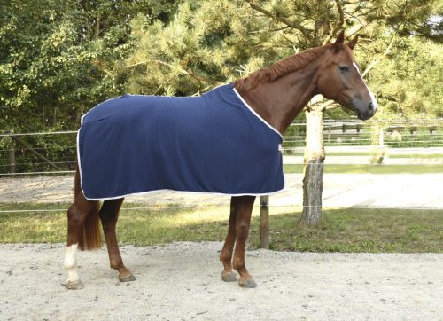 Covalliero RugBe Economic polár lótakaró - kék, 145 cm