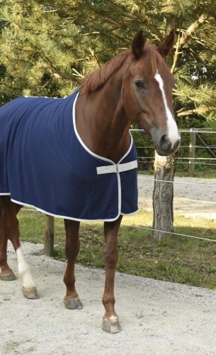 Covalliero RugBe Economic polár lótakaró - kék, 145 cm