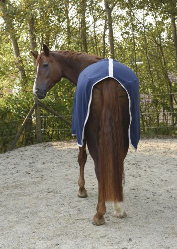 Covalliero RugBe Economic polár lótakaró - kék, 145 cm