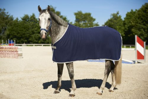 Covalliero RugBe Economic polár lótakaró - kék, 155 cm