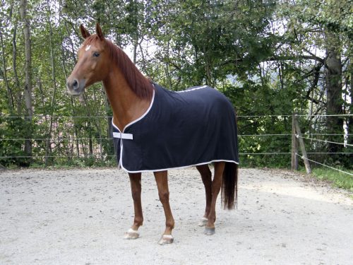 Covalliero RugBe Economic polár lótakaró - kék, 155 cm