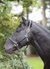 Covalliero Cordano kötőfék - olivazöld, pony