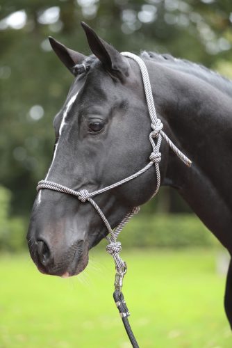 Covalliero csomózott kötőfék - kék/bézs, pony
