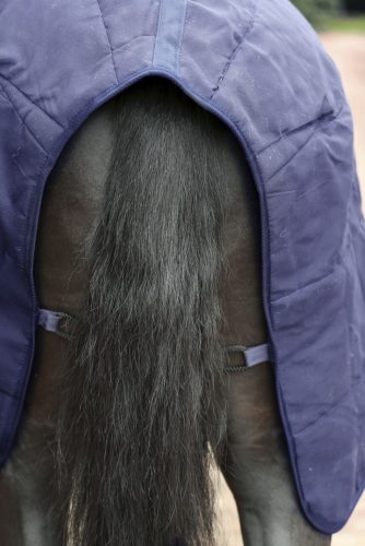 RugBe 2 az 1-ben beltéri lótakaró - kék, 125 cm