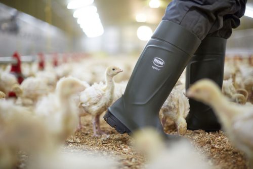 Bekina S5 Steplite® Easygrip biztonsági csizma - poliuretán 36