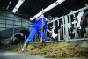 Bekina S5 Steplite® Easygrip biztonsági csizma - poliuretán 41