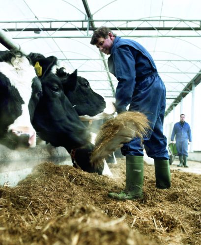 Biztonsági csizma Dunlop® Purofort® S5