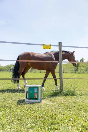 Duo Power Xi 8000 villanypásztor készülék - 230 V / 12 V, 11,7 J