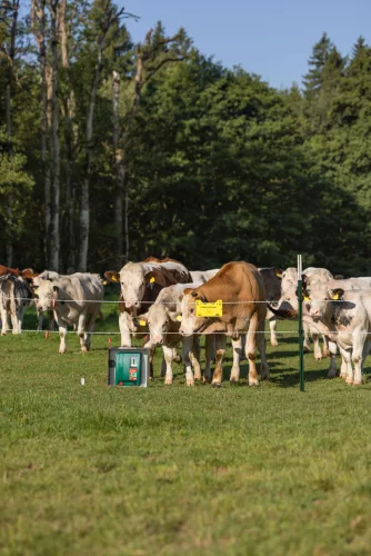 AKO DUO Power XI8000 Smart villanypásztor készülék